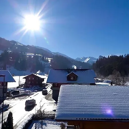 Hirschen Otel *